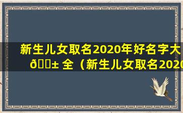 新生儿女取名2020年好名字大 🐱 全（新生儿女取名2020年好名字大全及寓意）